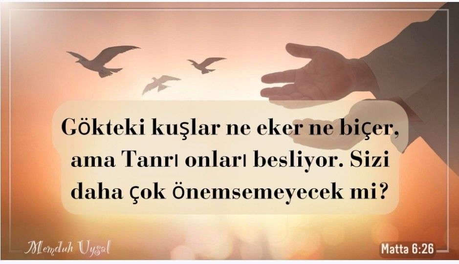 Kuşlardan çok daha değerlisiniz! Kuşlardan çok daha değerlisiniz!